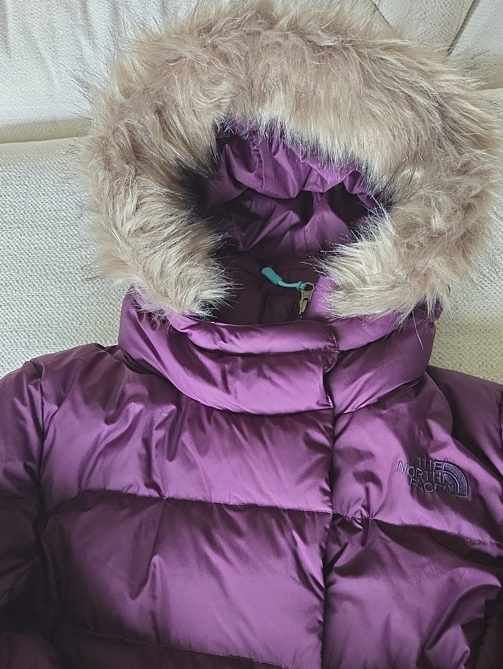 The North Face New Dealio Down Parka 550 Women M Gorpcore Heritage Waterproof